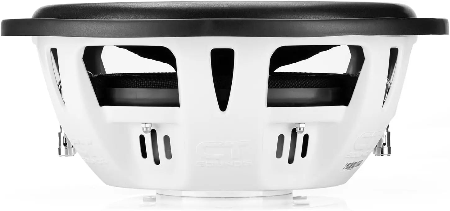 10-Inch Dual 2-Ohm Shallow Mount Car Subwoofer, 1000W Max Power for Enhanced Bass